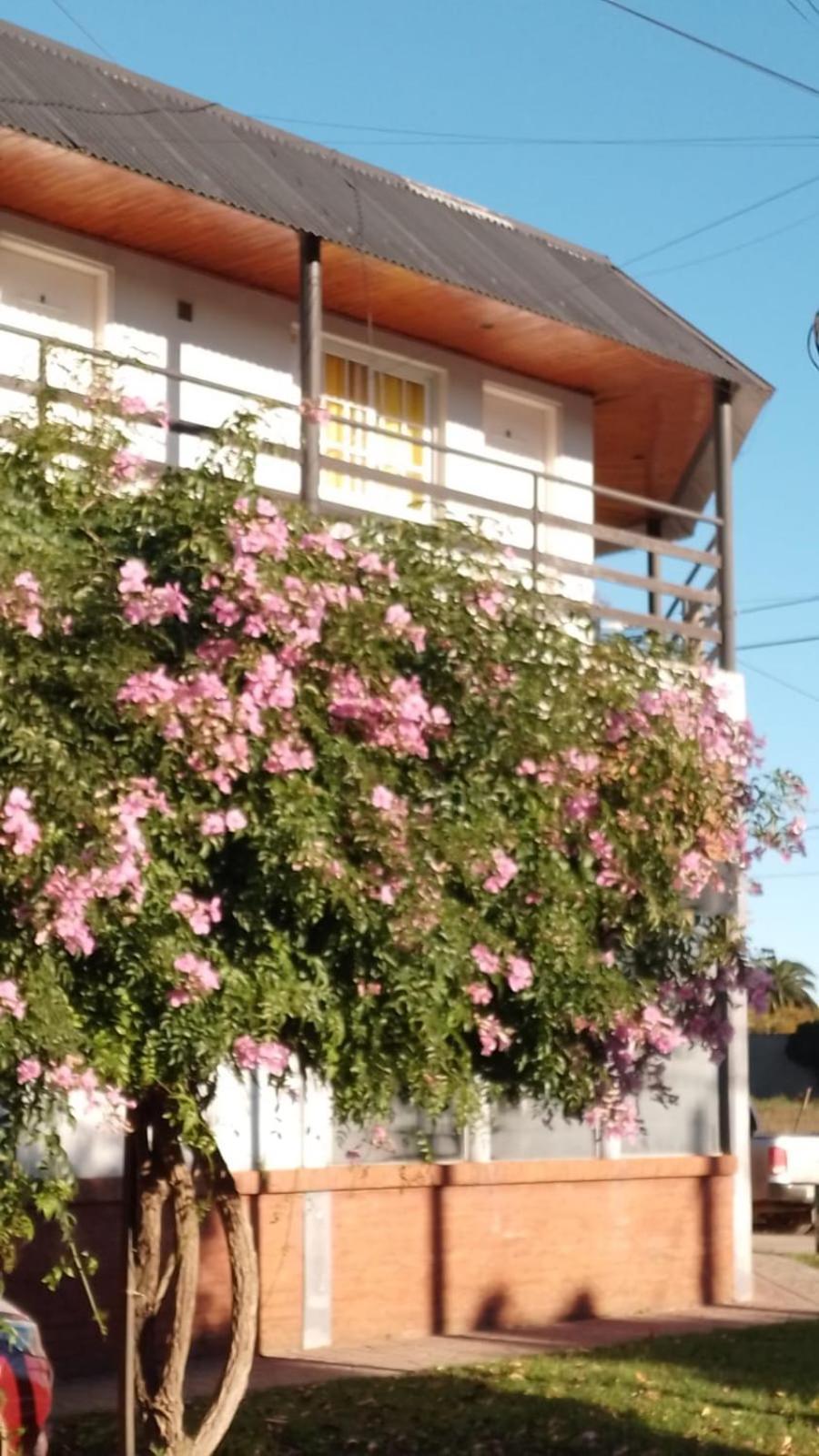 Apartment Dpto N3 Matrimonial Navarro