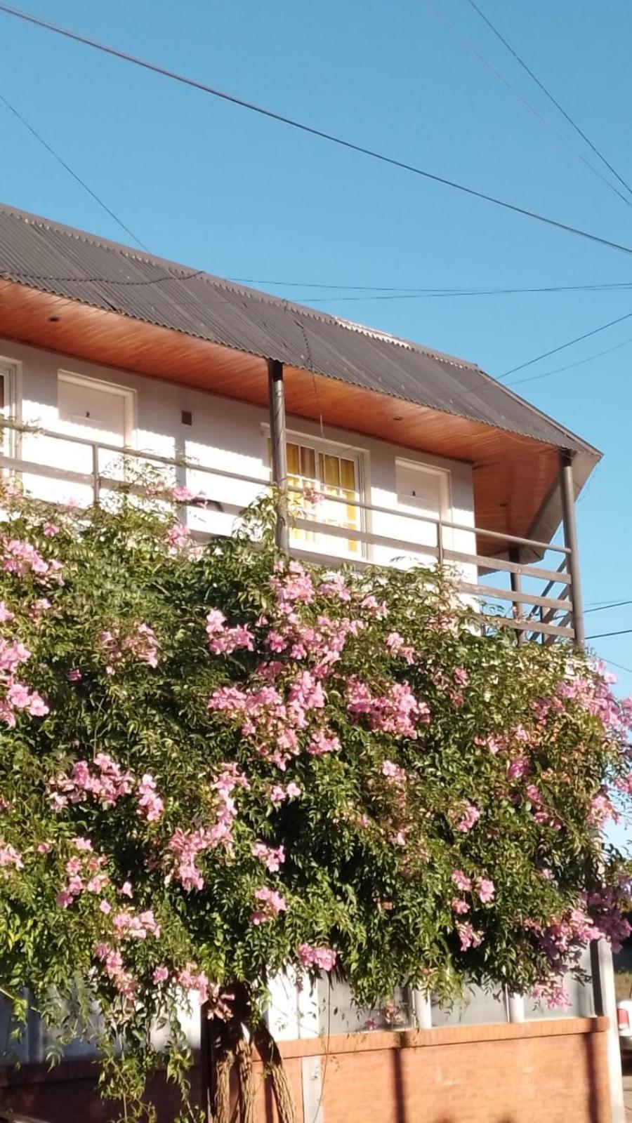 Apartment Dpto N3 Matrimonial
